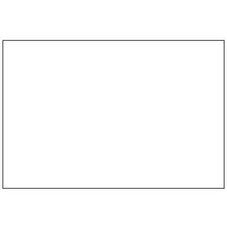 Bsc Preferred 4 x 6'' - White Block Out Labels BUY00025601